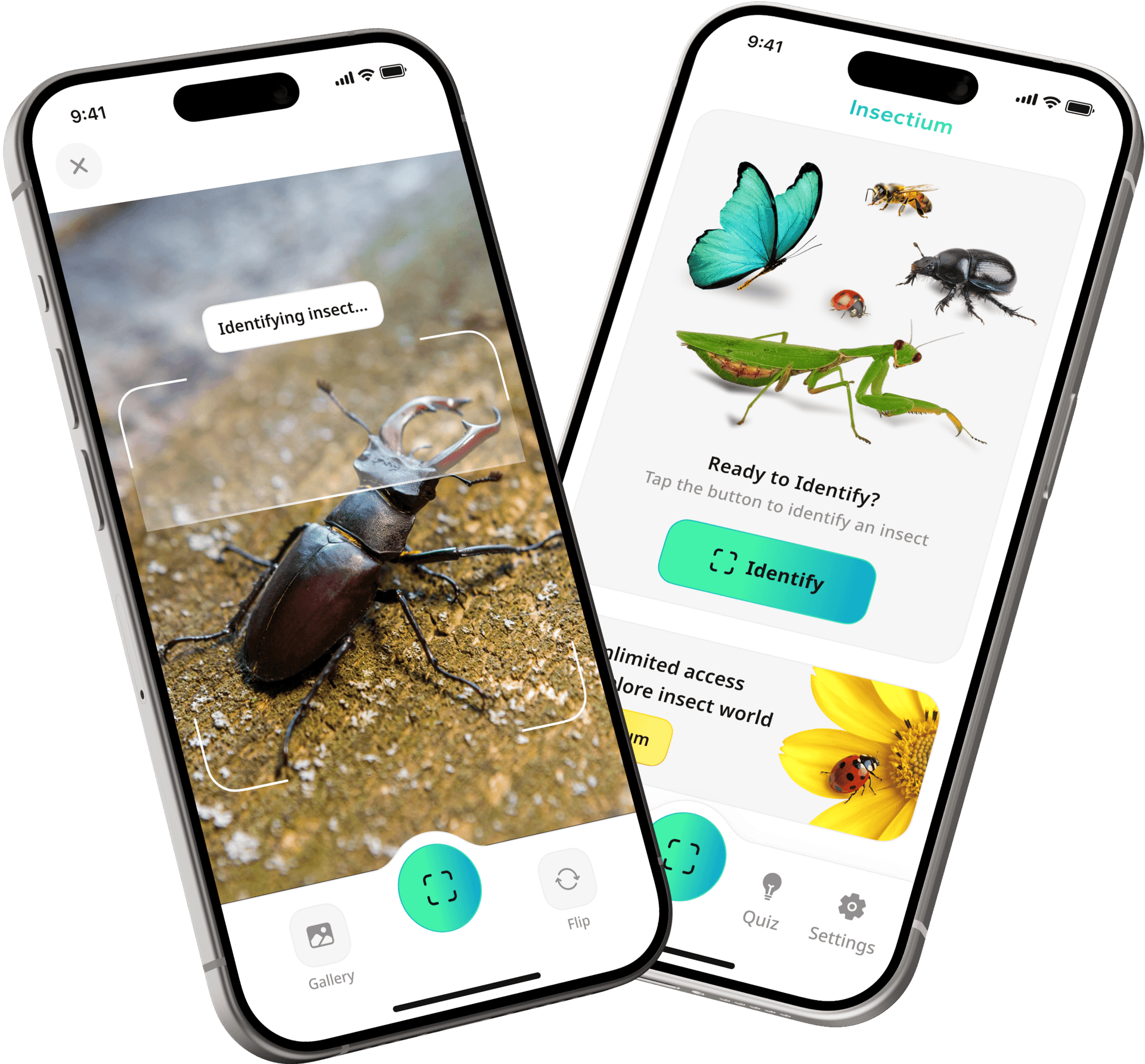 Preview of the insect identifier mobile app