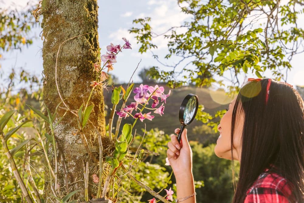 Close-up of a woman looking at a pink flower through a magnifying glass